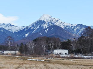 周囲の風景